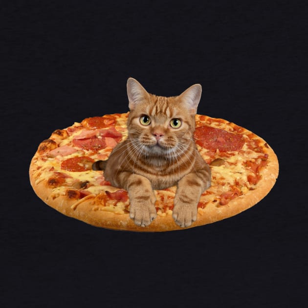 Pizza Cat by Vince and Jack Official